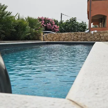 Royal House 2 Пашман